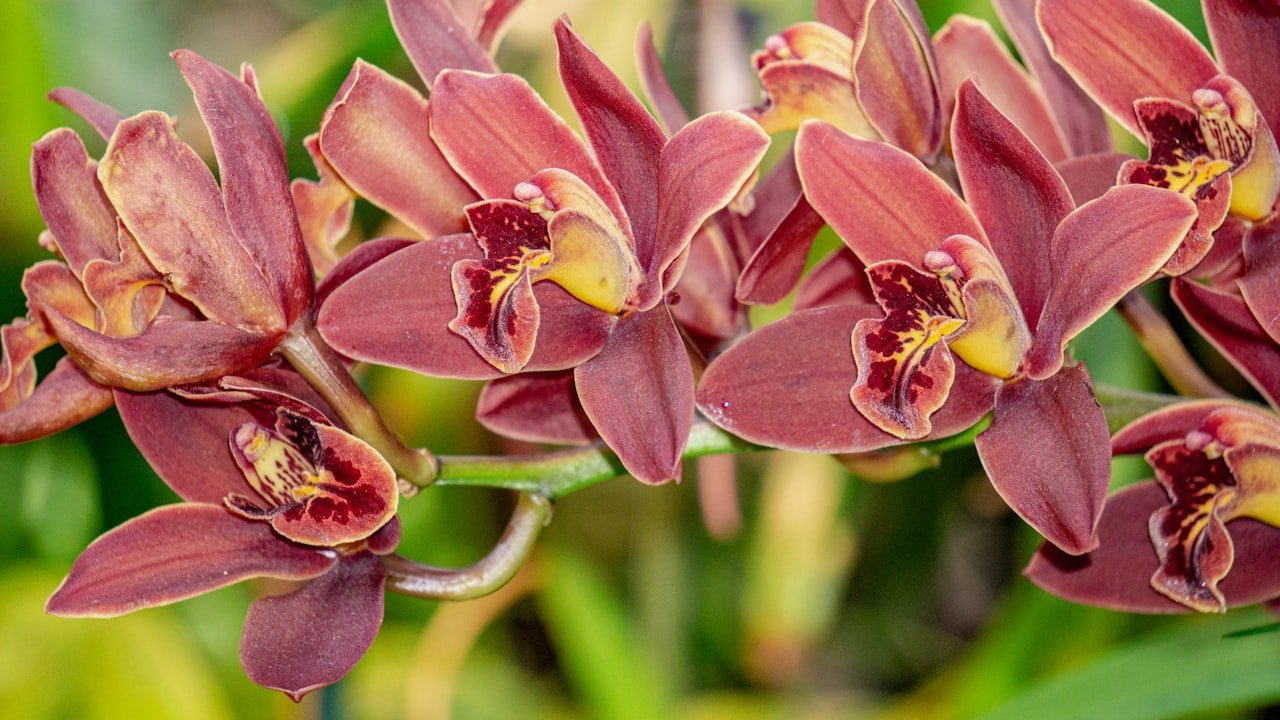 The Sturdy Battery Features Of Honor Magic3