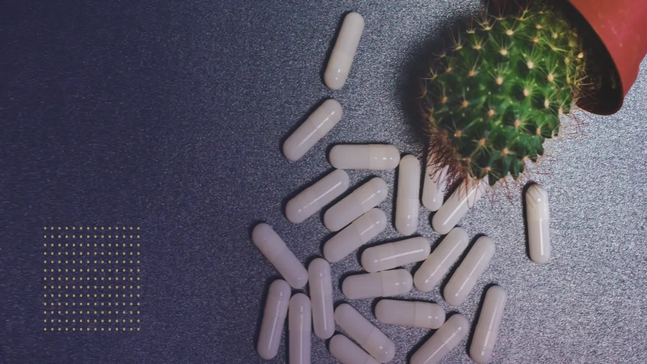 Exploring the Link Between NMN Supplementation and Metabolic Health