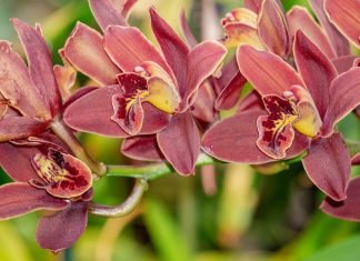 The Sturdy Battery Features Of Honor Magic3