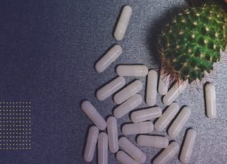 Exploring the Link Between NMN Supplementation and Metabolic Health